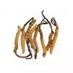 Cordyceps Sinensis: Fortalece el sistema inmunológico, mejora la circulación, y apoya el tratamiento de la tos crónica y el cáncer.