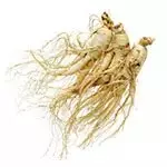 Ginseng: Revitaliza la energía, tonifica el bazo, y mejora el sistema cardiovascular y linfático