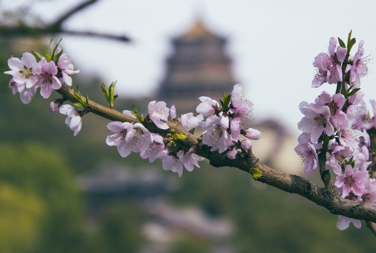 Testimonios de Cáncer de Útero y Tian Xian: Guía Informativa 2 Testimonio de cáncer de útero — Sra. Zeng Wu Mei, China